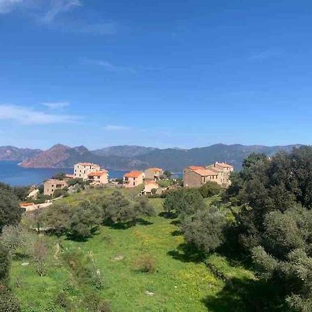 Appartement De Standing Piana Piana  Eksteriør bilde