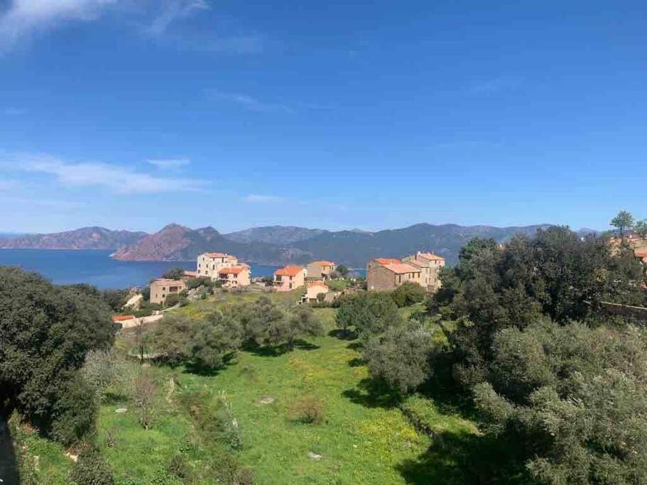 Appartement De Standing Piana Piana  Eksteriør bilde
